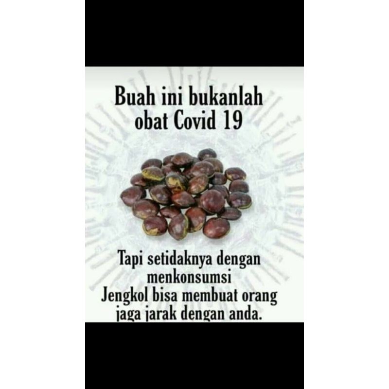 Emping Jengkol 100% tanpa campuran Asli Bogor