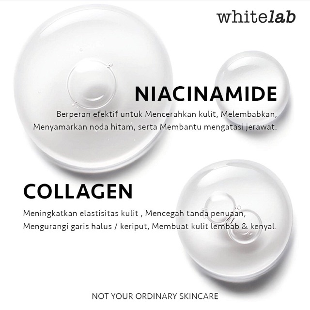 Whitelab Brightening Night Cream - Whitelab Surabaya