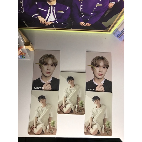 Pc Photocard Mark Dan jungwoo Nature republic official