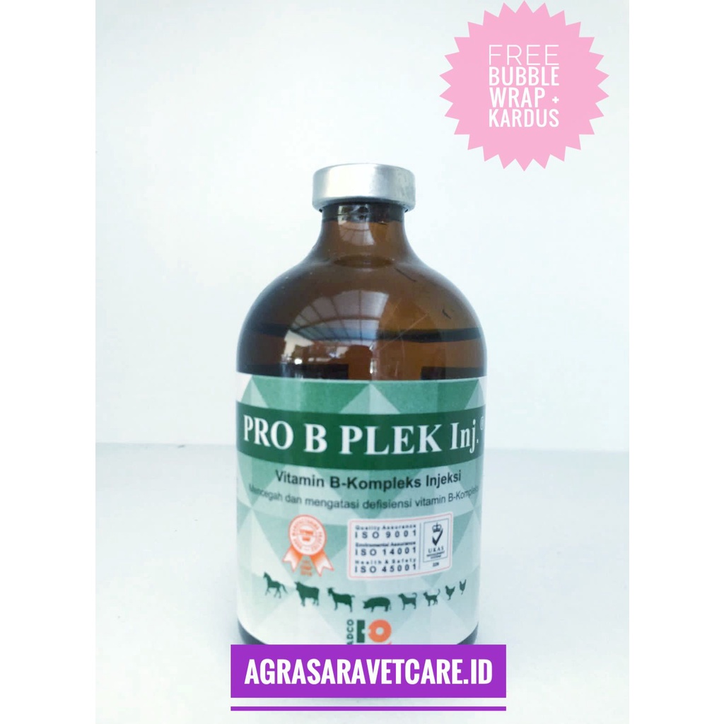 Jual PRO B Plek INJ 100 Ml- Vitamin B Komplek Hewan Ternak Mirip B ...