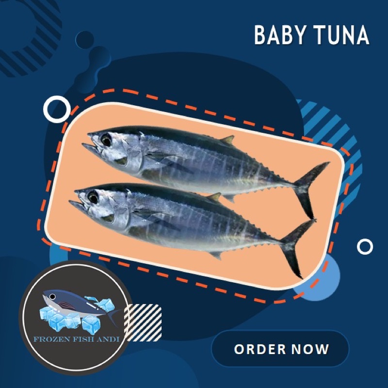 

ikan baby tuna segar 1kg