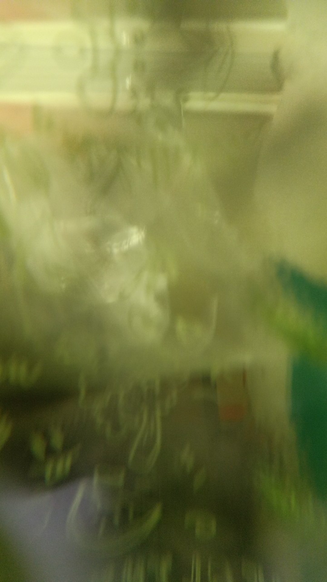 Set Sprei Maureen Gold / Merah Tulis Catatan By Esra Bunga Dasar Kuning Dan Merah Bunga