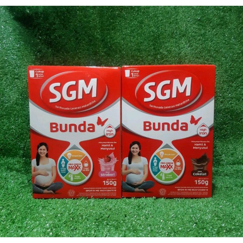 SGM Bunda Hamil