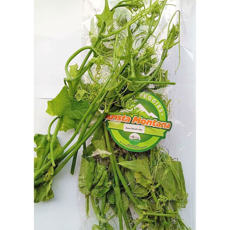 

RH DAUN PUCUK LABU ORGANIK 250 GR / DAUN PUCUK LABU SEGAR / FRESH VEGETABLES