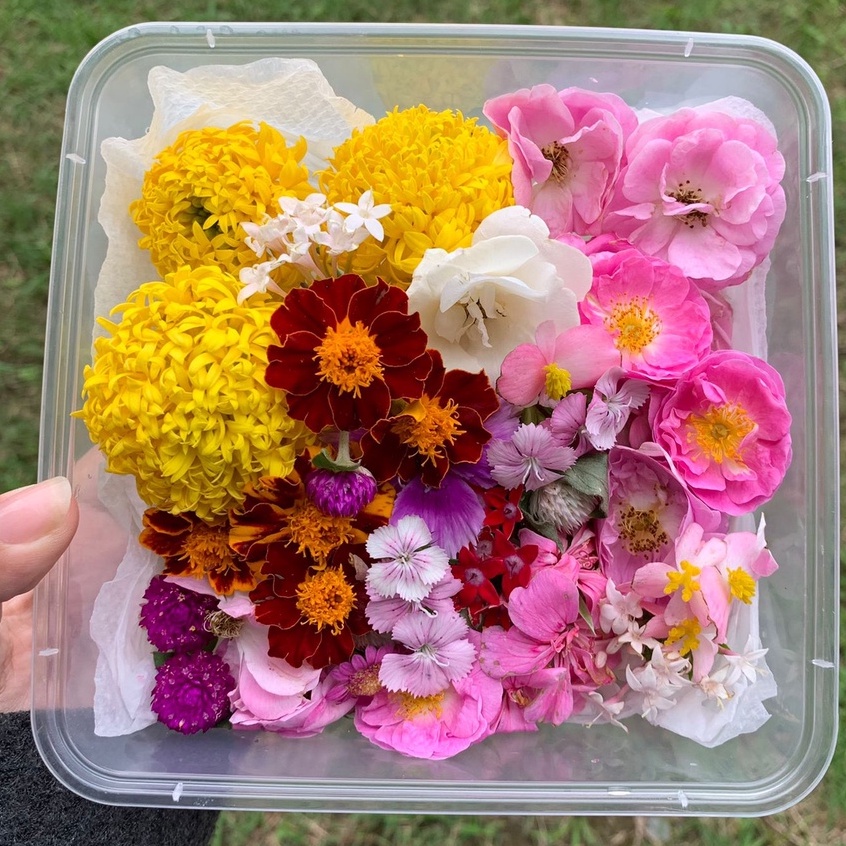 

UsahaTemanku Mixed Edible Flowers