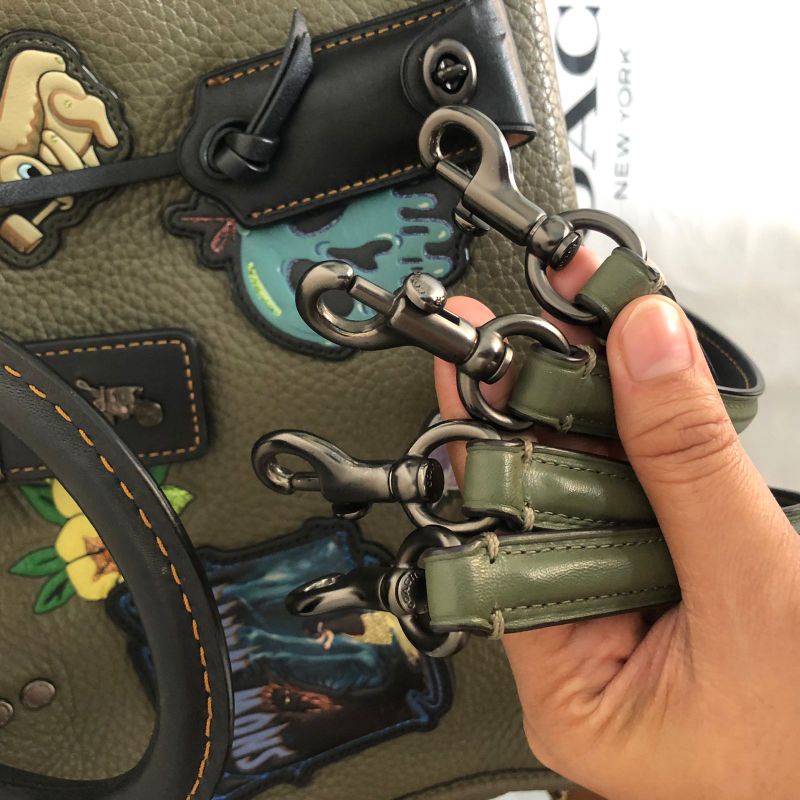 coach rogue disney pl