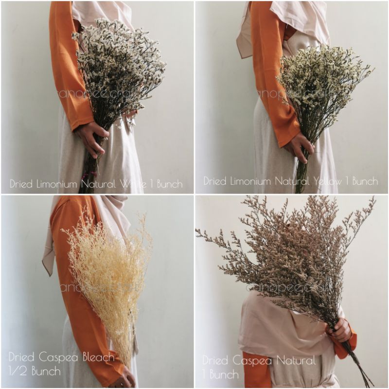 BUNGA KERING DRIED CASPEA LIMONIUM GROSIR