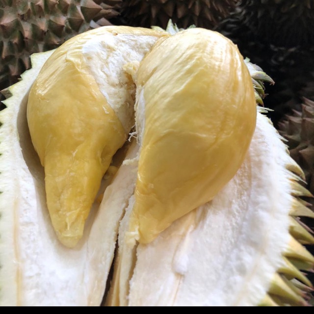 

durian monthong super