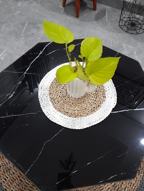 Placemat Seagrass/placemat/placemats