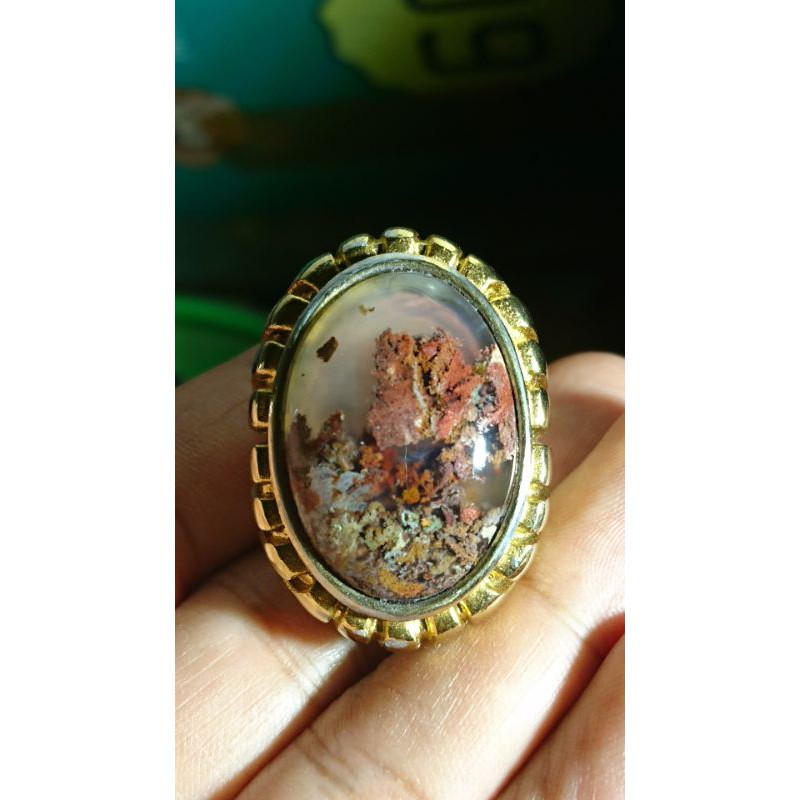 Natural_Lumut_Suliki_Trenggalek