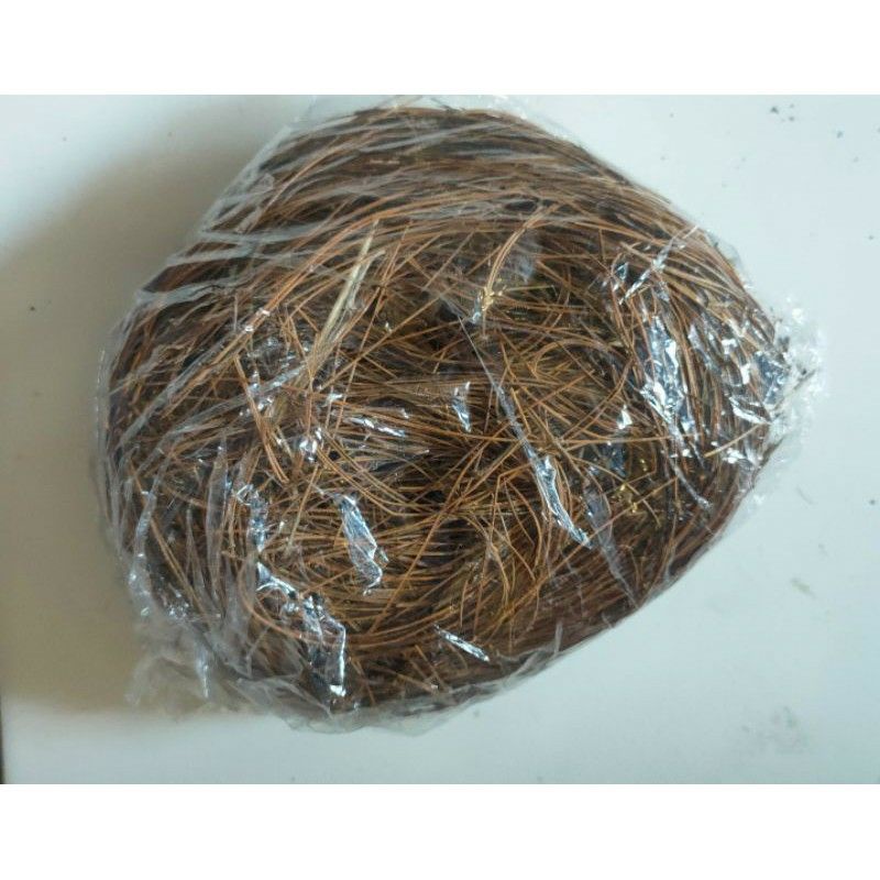 susuhan cemara burung sarang untuk burung murai batu dan burung lainnya