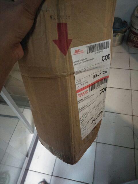 Promo 3 Bibit Buah Tin Green Y, Purple Y, Brown Turky