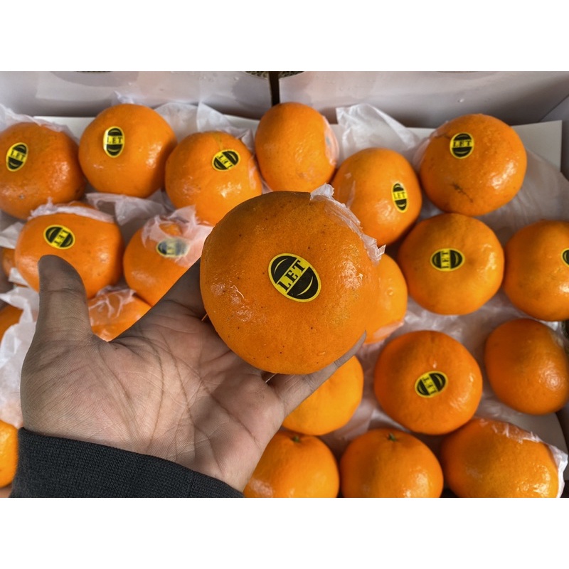 

jeruk Mandarin wokam fresh import 1kg