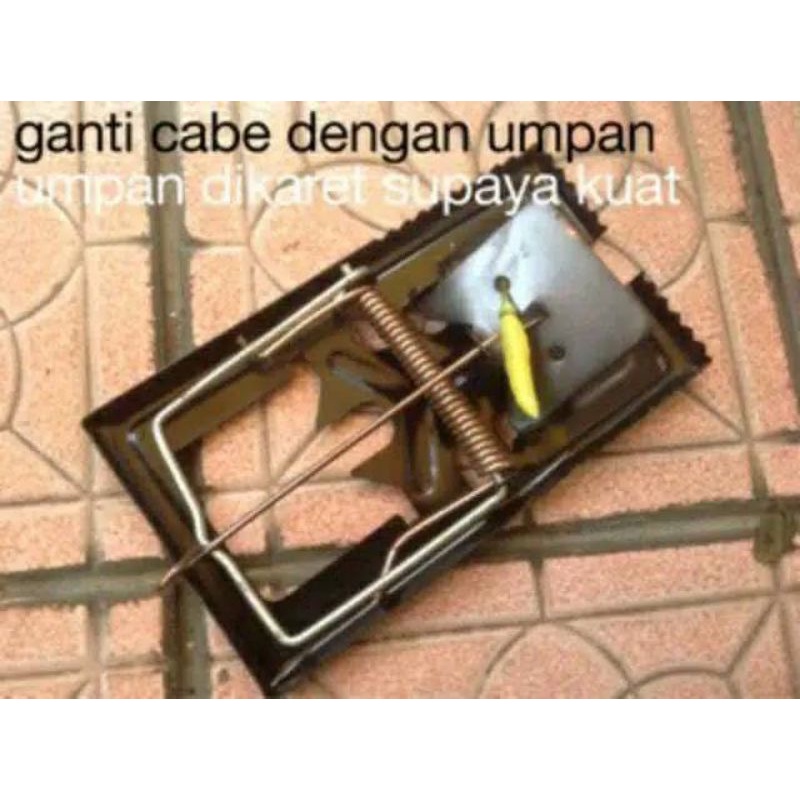 Jebakan Tikus Sistem Jepretan