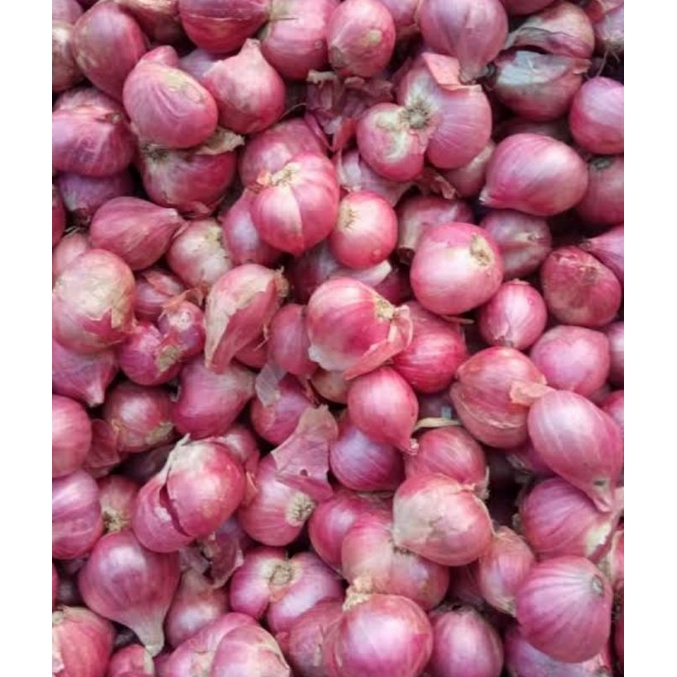 

bawang merah sedang kemasan 500gram dan 1kg