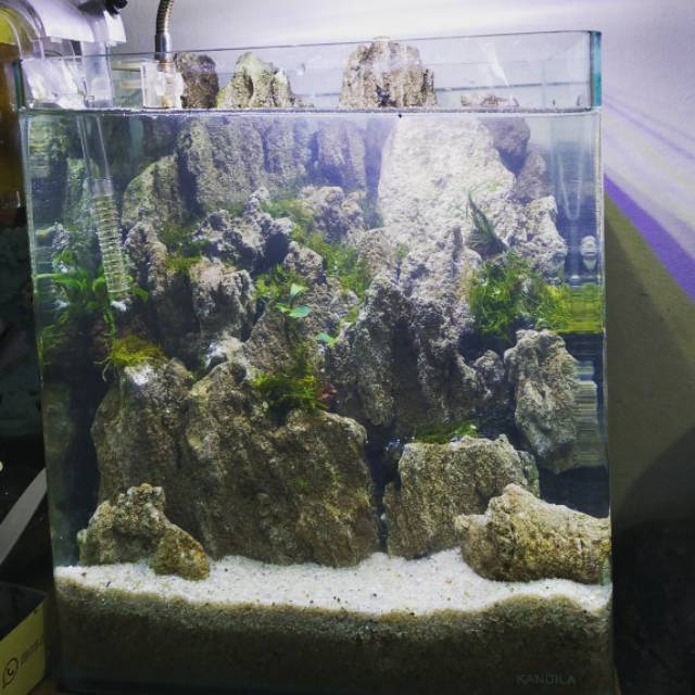 Jasa Design Aquascape Ukuran 30 Cm Shopee Indonesia