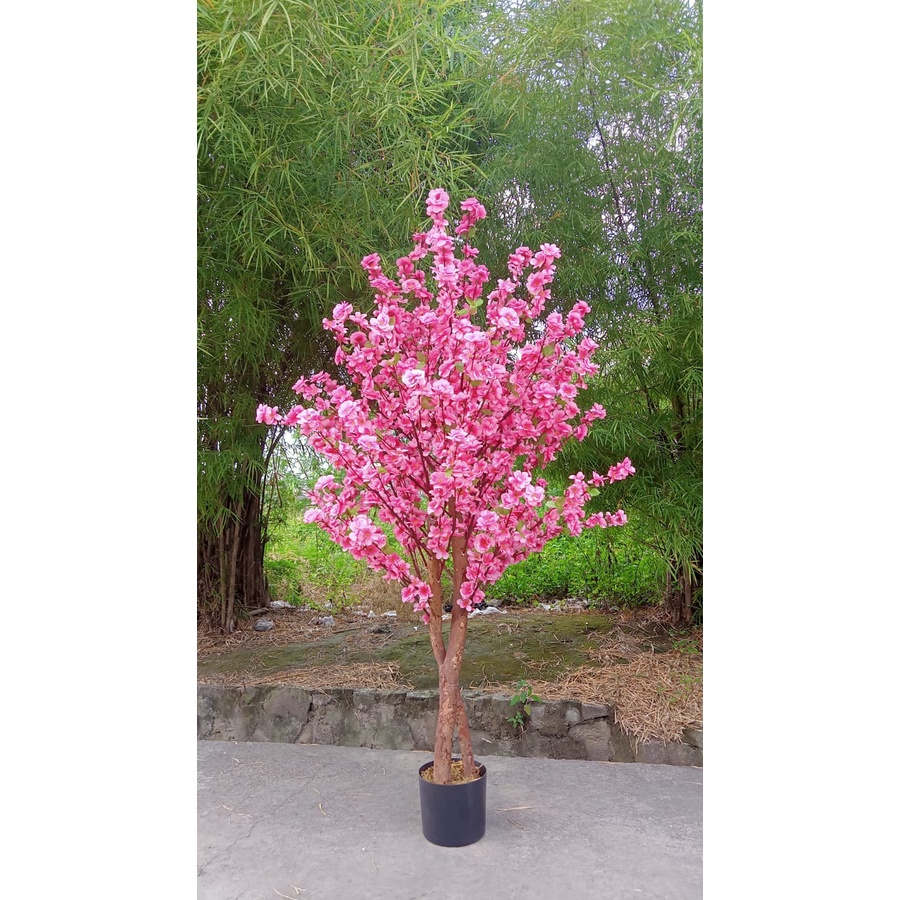 Pohon Sakura Hias Tinggi Imitasi Artificial Import Tanaman Hias Plastik Ornamen Pajangan Dekorasi Rumah Tanaman Hias Sakura 1 meter cantik Tanaman Hias Sakura Azgalery PBP80