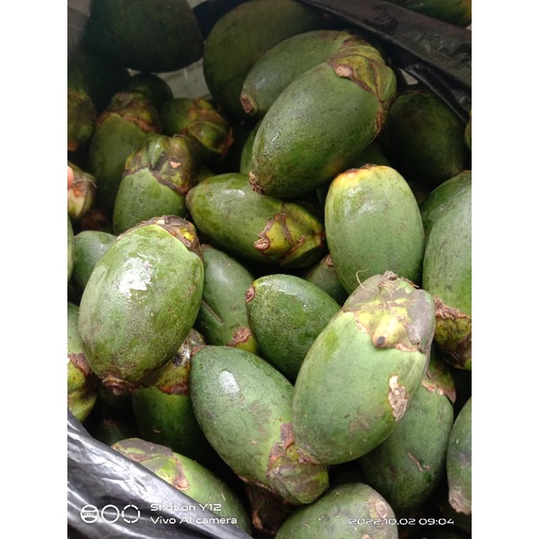 

Buah pinang muda atau buah jambe fresh per 1 kg
