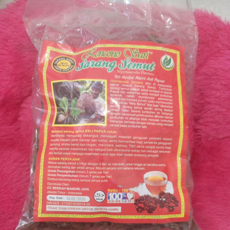 

sarang semut