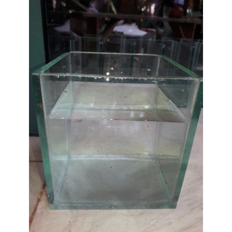 akurium kubus solliter segi empat ukuran10x10x10 akuarium kaca akurium kotak