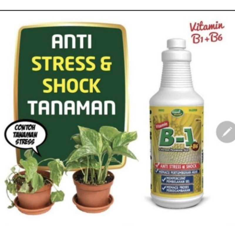 Pupuk Vitamin B1 Plus B6 500 ml Green World memacu akar anti stress NEW