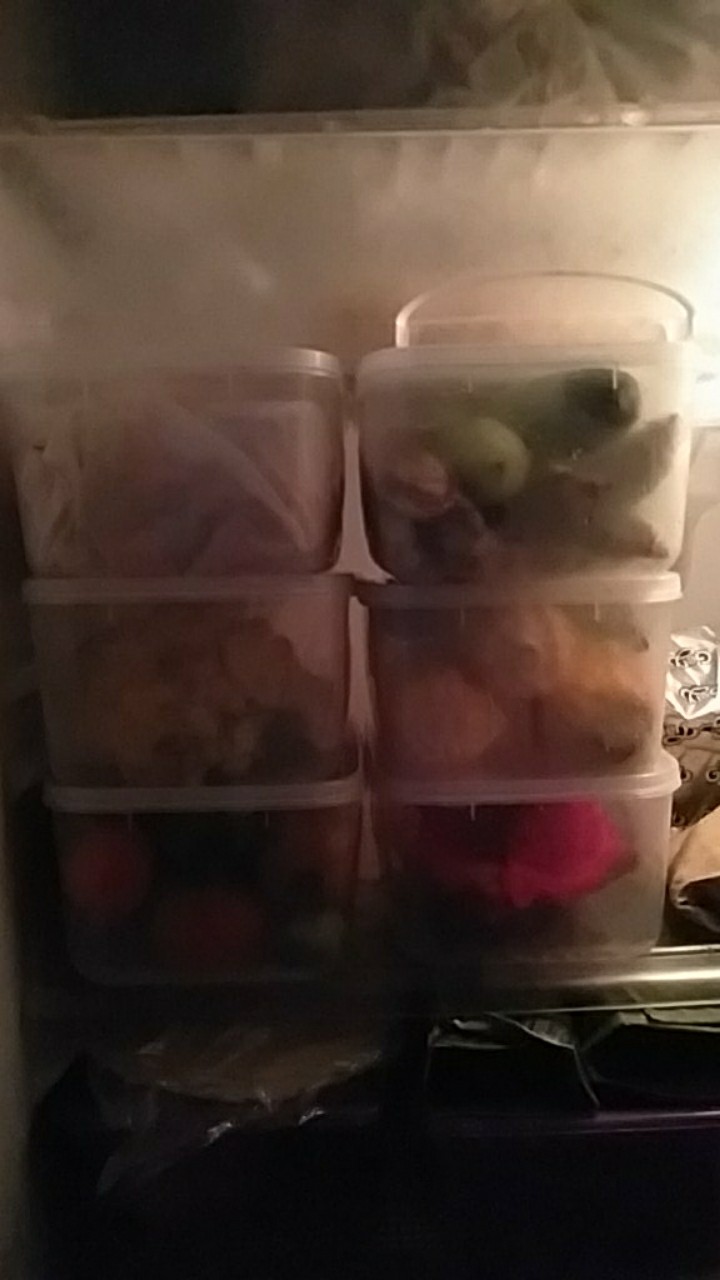 (6pcs) Kotak Makan / Bekal / Sealware Serbaguna 1800mil