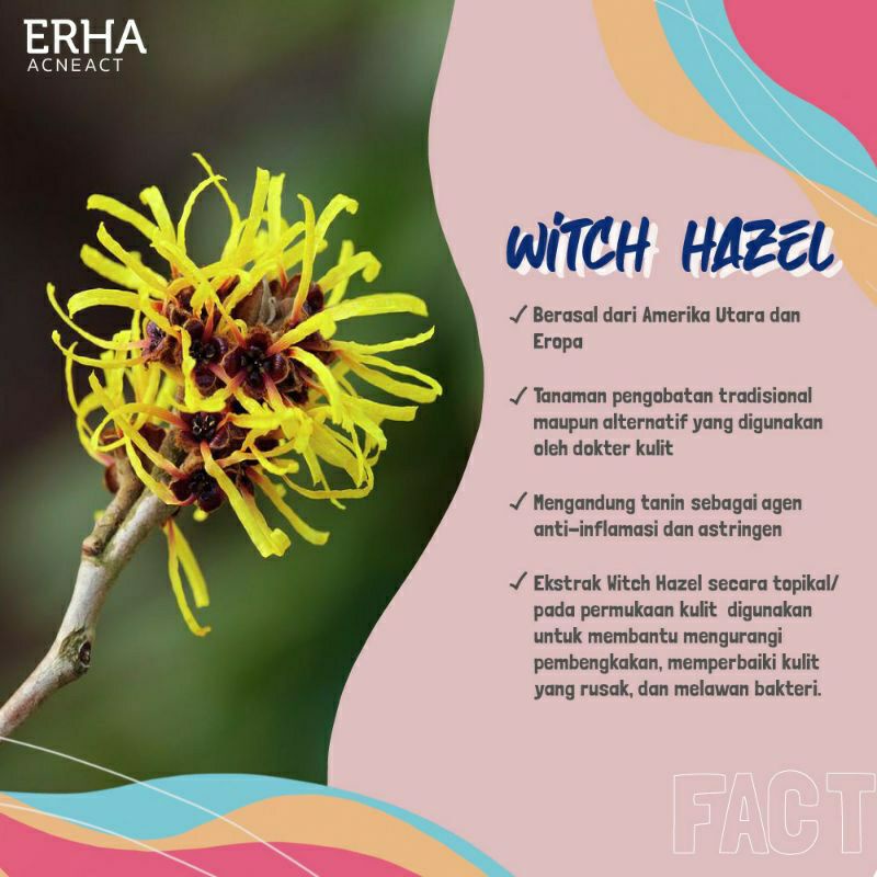 ERHA AcneAct Witch Hazel &amp; BHA Gentle Acne Facial Wash 100g - Sabun Wajah Jerawat