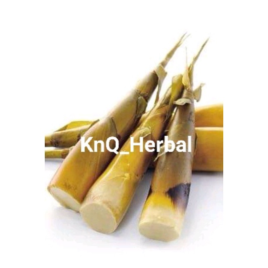 Rebung Bambu Kuning Rebung Muda Segar 1kg