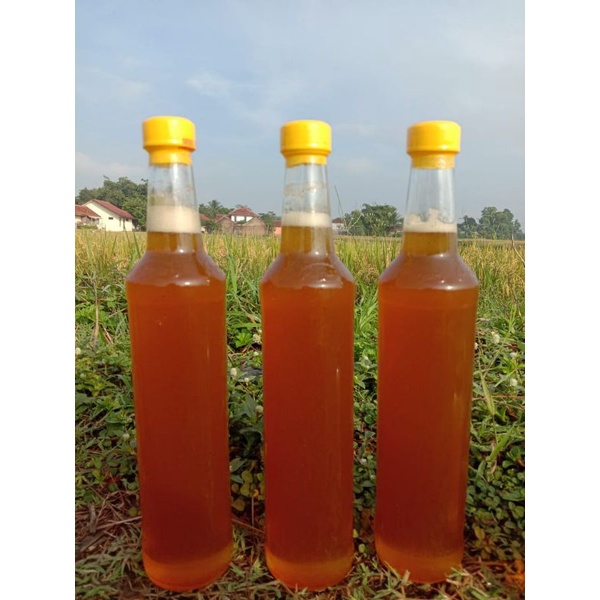 

madu hutan asli
