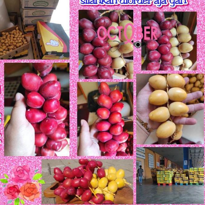 

Best Seller!! KODE-764 Kurma muda ready tgl 14 oktober 1kg untuk promil fresh