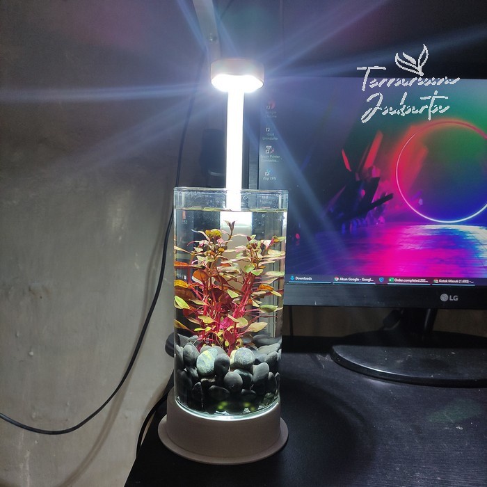 Aquascape Series | Paket Aquascape | Gift Set Tanaman Air