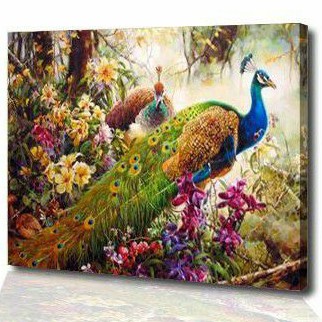 760 Gambar Burung Merak Lukisan Gratis Terbaru