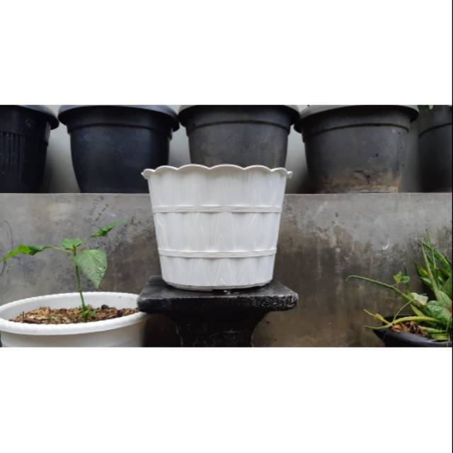 Pot bunga shallom putih motif kayu 28cm Shopee Indonesia Pot bunga shallom putih motif kayu 28cm Shopee Indonesia