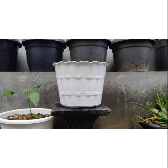  Pot  bunga  shallom putih motif  kayu 28cm Shopee Indonesia