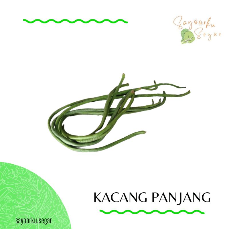 

DIKIRIM BESOK Kacang Panjang