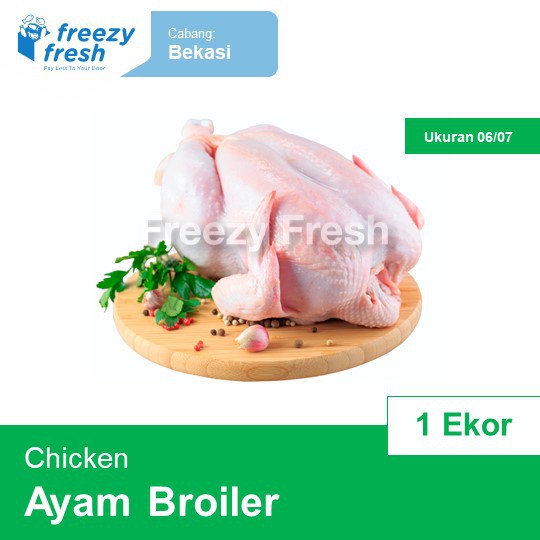 

Ayam Broiler Premium per ekor