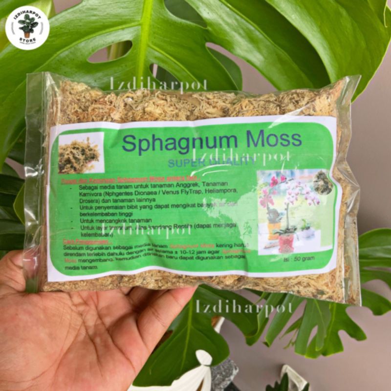 Moss anggrek merk sphagnum moss cocok untuk media tanam bunga anggrek