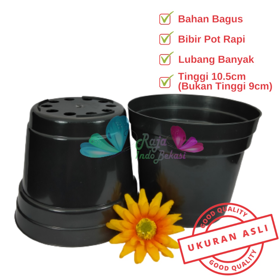 Pot Bunga Plastik 12cm / Kopeng 12 Hitam - Pot Tanaman Plastik 12 Cm Warna Hitam Harga Grosir Hitam