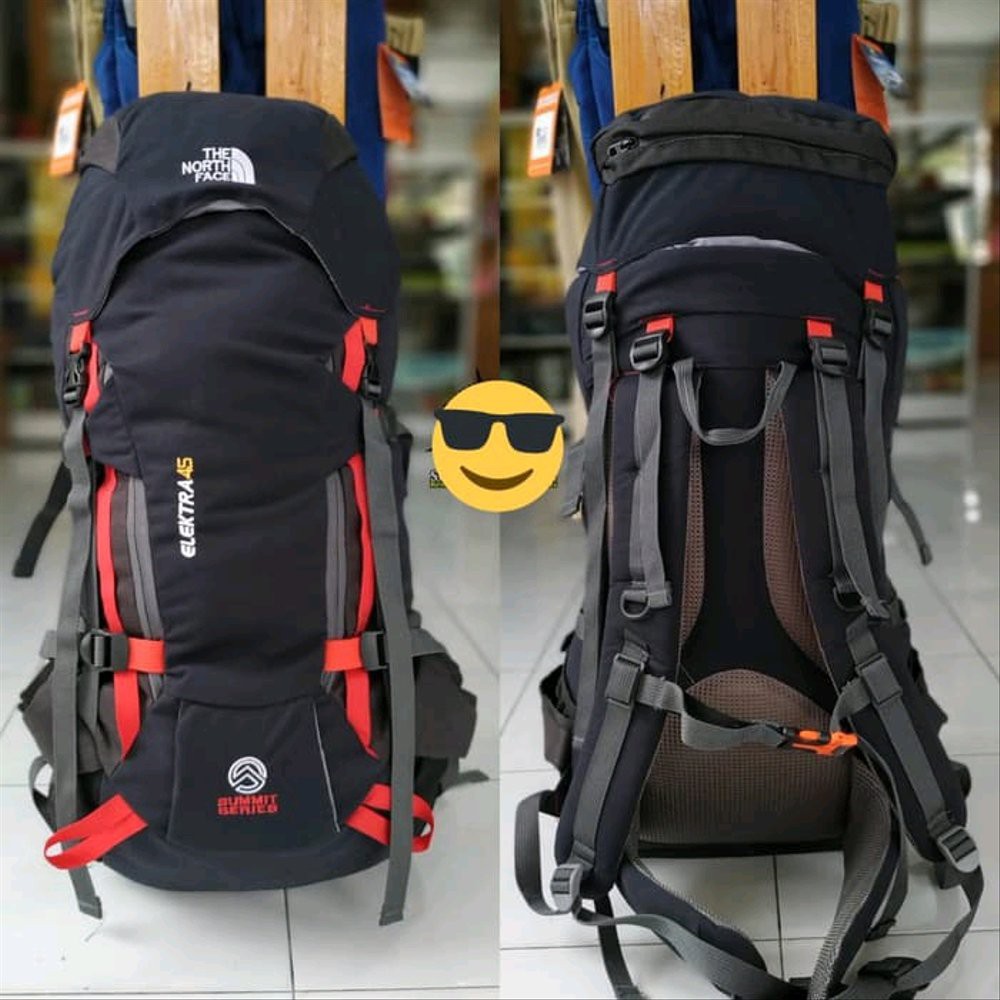 the north face carrier