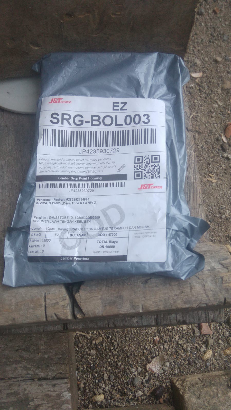 Racun Tikus Ramtus Terampuh Dan Murah