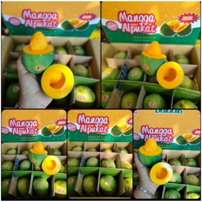 

Mangga Alpuket/Alpukat murah