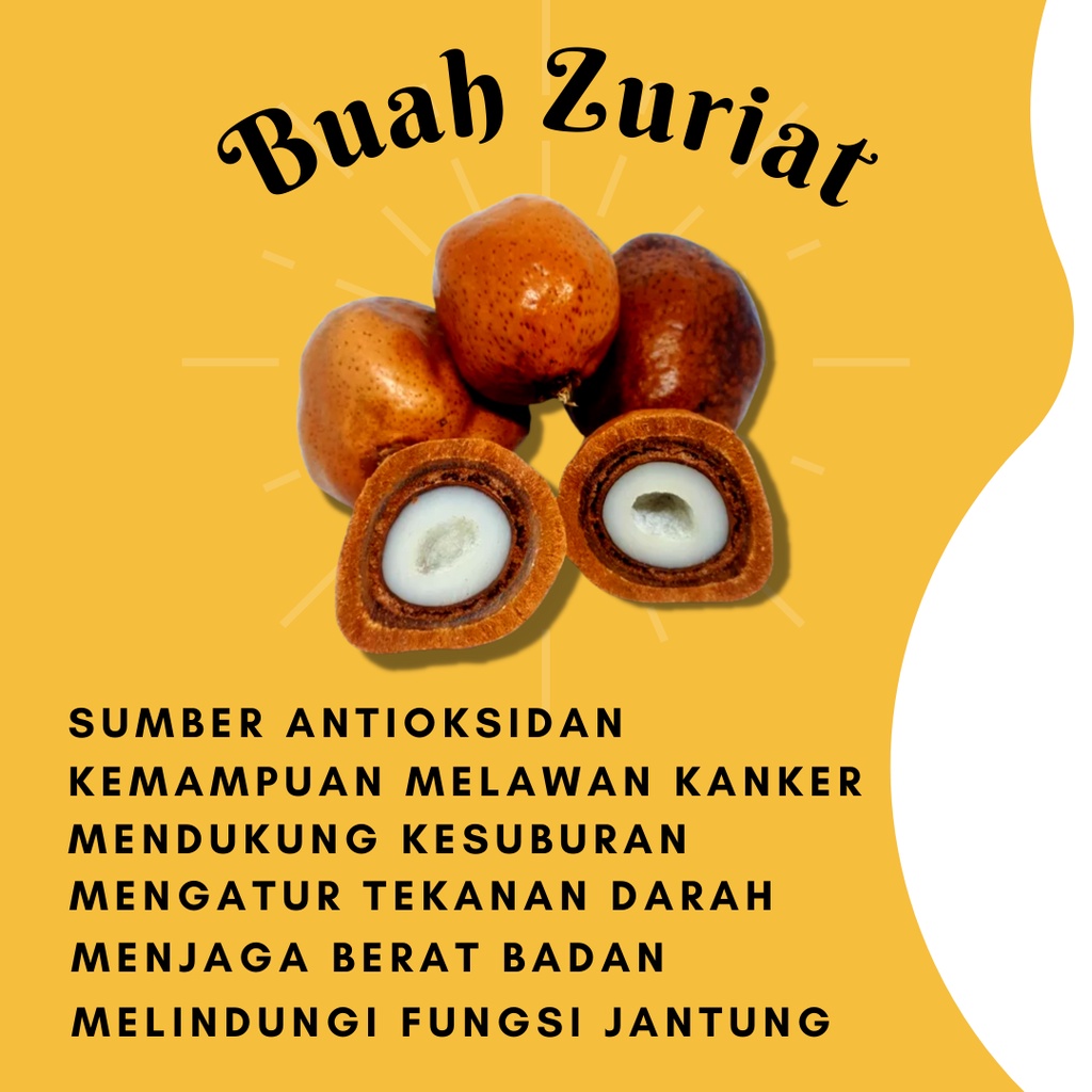 Obat Penyubur Kandungan Pil Agar Cepat Hamil Pria Wanita Kapsul Buah Zuriat Untuk Promil Original