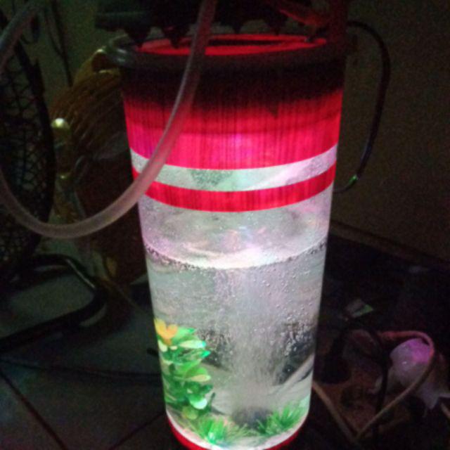 44+ Aquarium Cupang Lampu Gratis