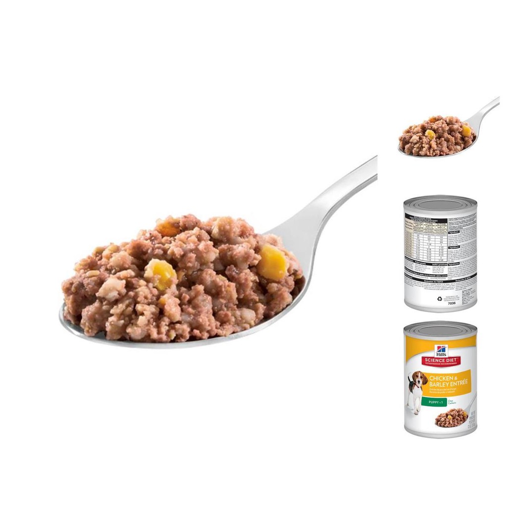 hills science diet chicken & barley puppy   makanan anjing