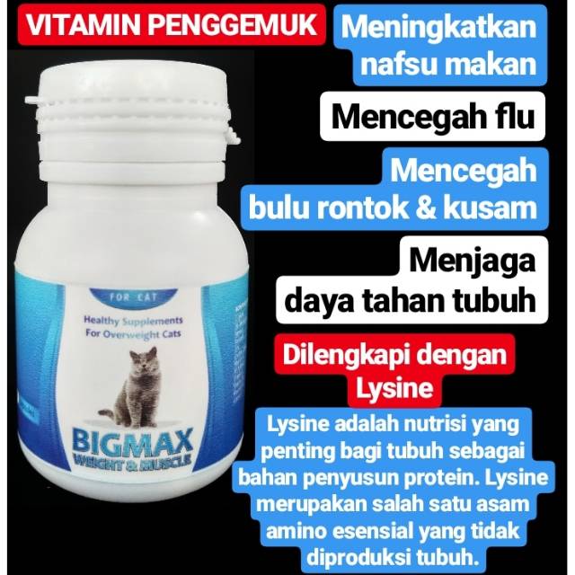VITAMIN KUCING BIGMAX PENGGEMUK KUCING OBAT KUCING CAT FOOD MAKANAN