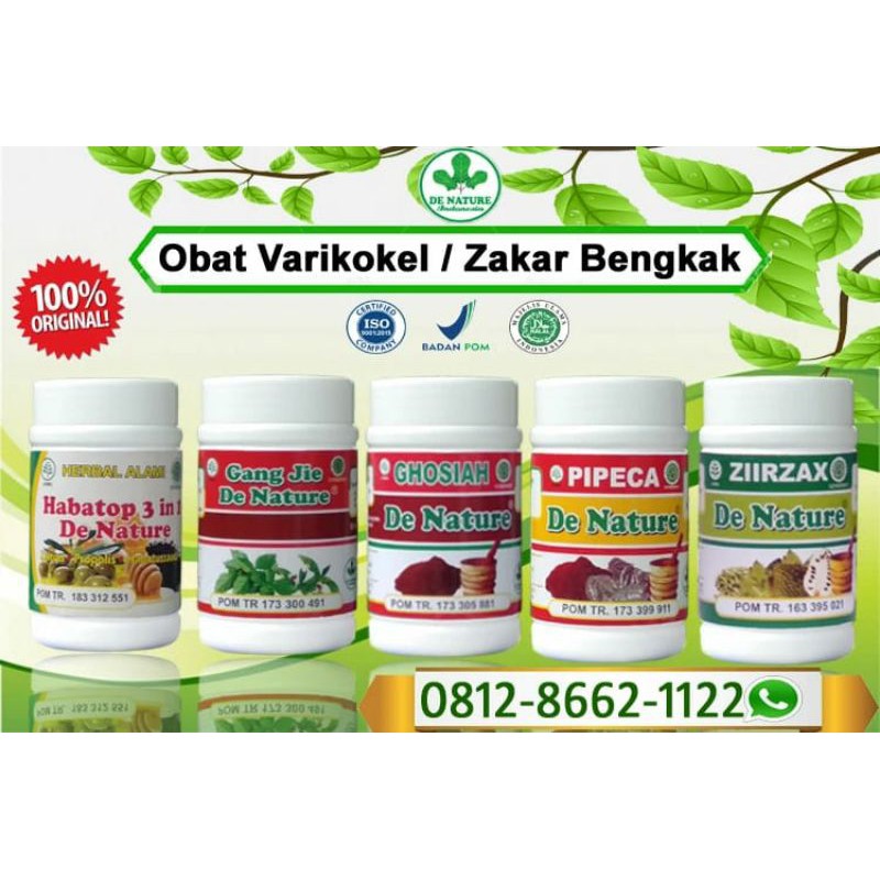 obat varikokel ampuh asli de nature