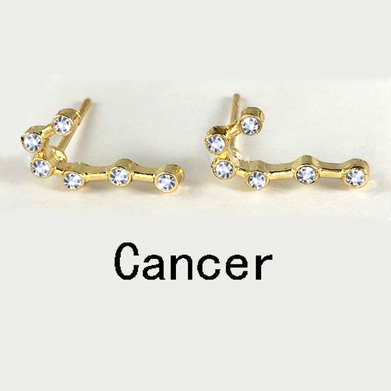 Anting Tusuk Bentuk Botol Minum Motif Zodiak Taurus Warna Goldsilver Untuk Wanita