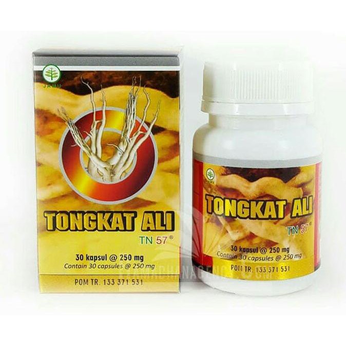 jamu tongkat ali herbal