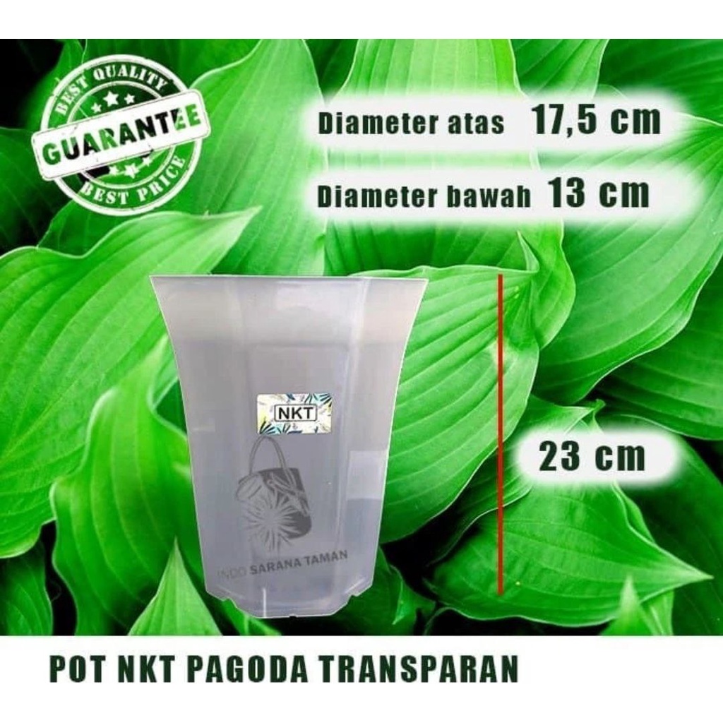 POT NKT PAGODA TRANSPARANT Pot Tinggi Pot Bening Pot Transparant Pot Tanaman Pot Bunga Pot Plastik P