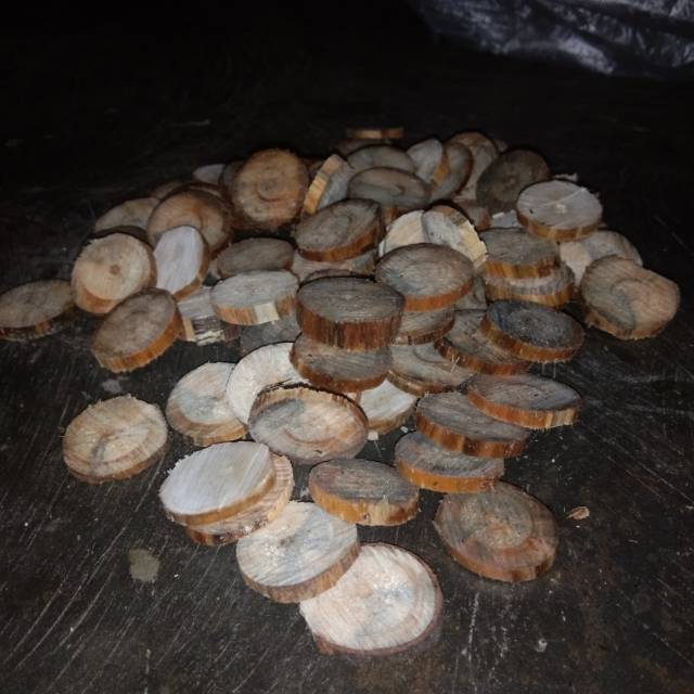 Kayu bulat untuk bonsai aquascape